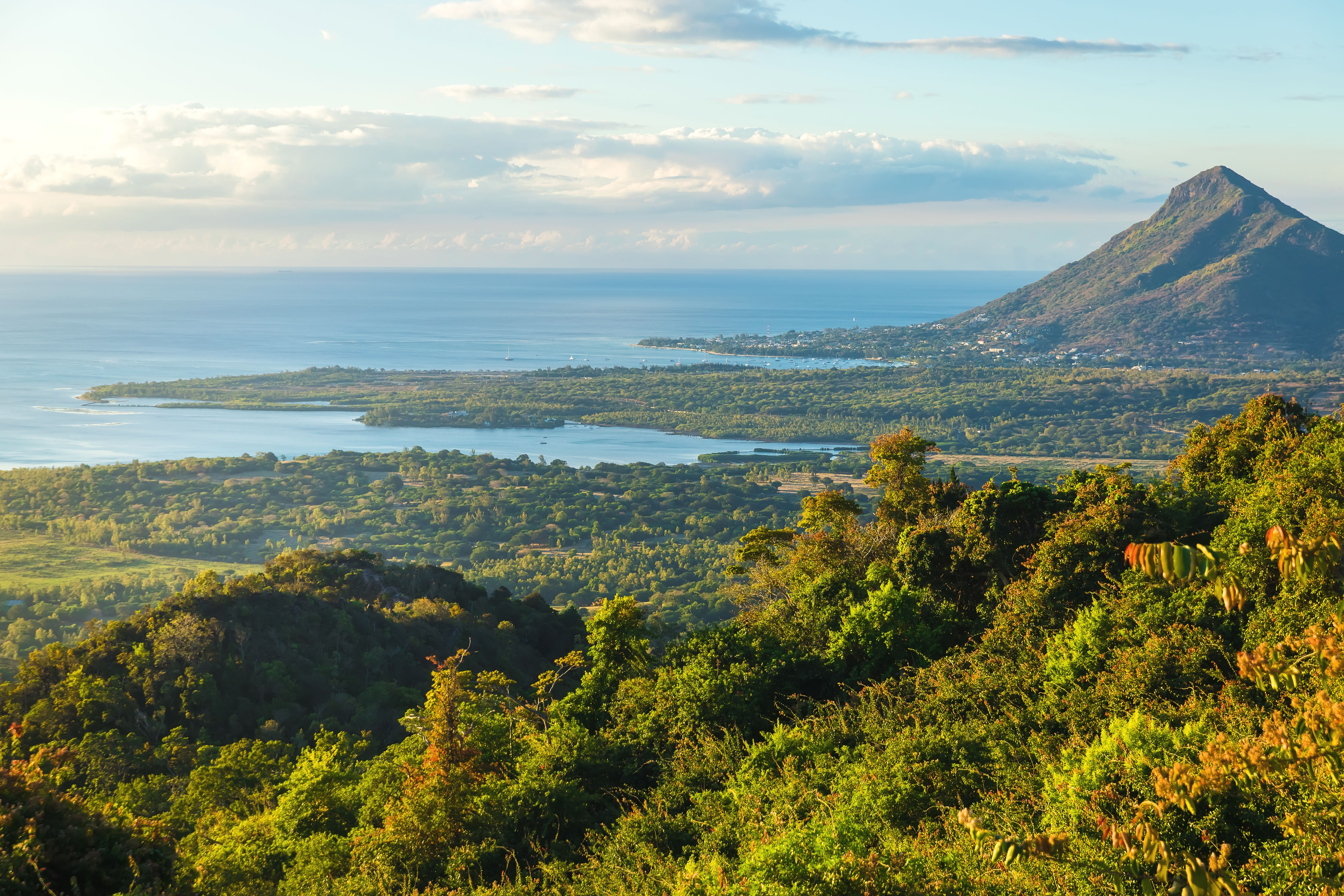Mauritius | Tamarin - Black River